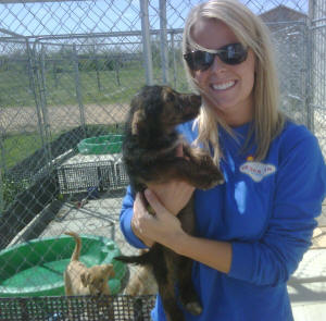 Jordan Tyler, an ASU psychology and counseling major, pitches in with puppy care at the Northeast Arkansas Humane Society.