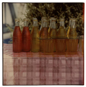 Robert Rauschenberg's photographic print, "Study for a Chinese Summerhall (Bottles), 1983" will be on display at ASU's Bradbury Gallery on Thursday, March 12, at 5 p.m.