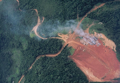 An aerial picture of deforestation, due to gold mining, in the South American jungle. Environmental issues like deforestation require the interaction of different disciplines to analyze the problems and find possible solutions to them. Photograph by Aldemaro Romero.
