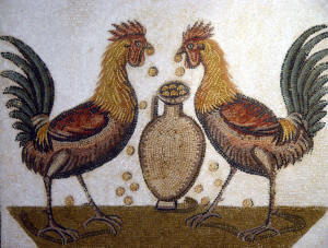 Fourth-century pavement mosaic from the House of the Nymphs at Nabeul. The tableau depicts two roosters face-to-face, pecking in an amphora filled with pieces of gold. This image represents a wish for luck and fortune. It was placed at the threshold to invite prosperity into the home. Photo by John Salvest.